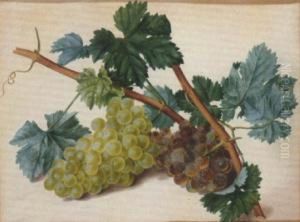 Grapes On The Vine by Leopold Stoll