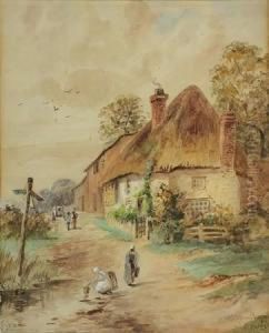 Thatched Cottages
