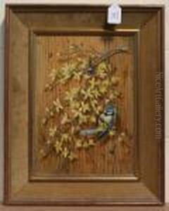 Bluetit On Forsythia