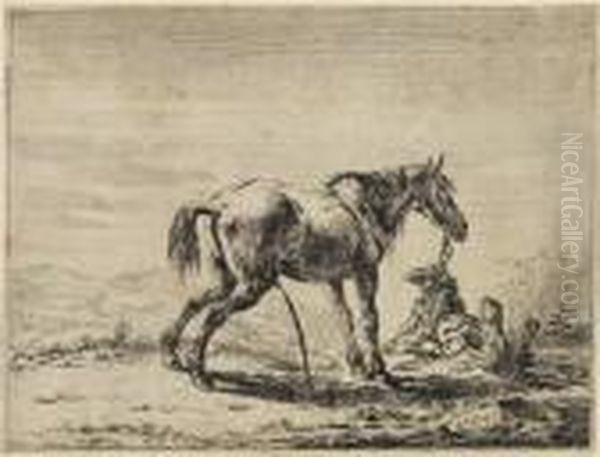 Das Pissende Pferd - view 1