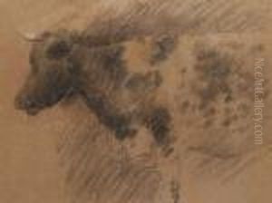 Study Of A Cow by Edward William Stott