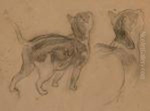 Study Of A Cat.
