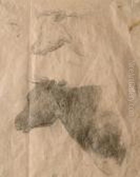 Studies Of Cows - view 1
