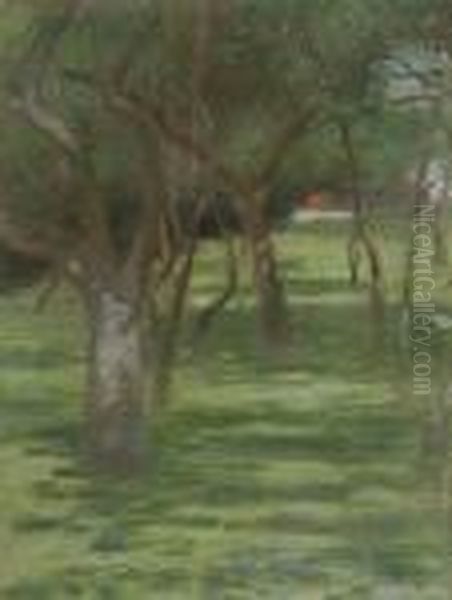 A Corner Of The Orchard - view 1