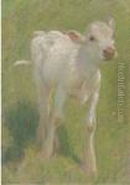 Study Of A Calf In A Summer Meadow - view 1
