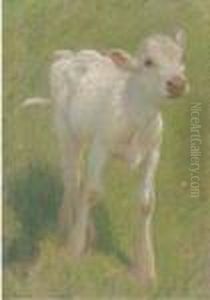 Study Of A Calf In A Summer Meadow by Edward William Stott