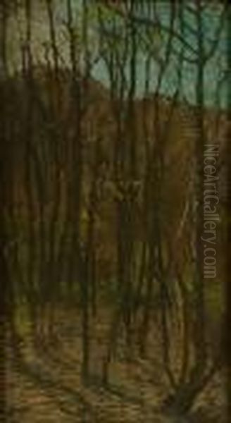 Forest Scene - view 1