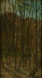 Forest Scene Forest Scene