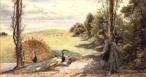 Feeding the Peacocks