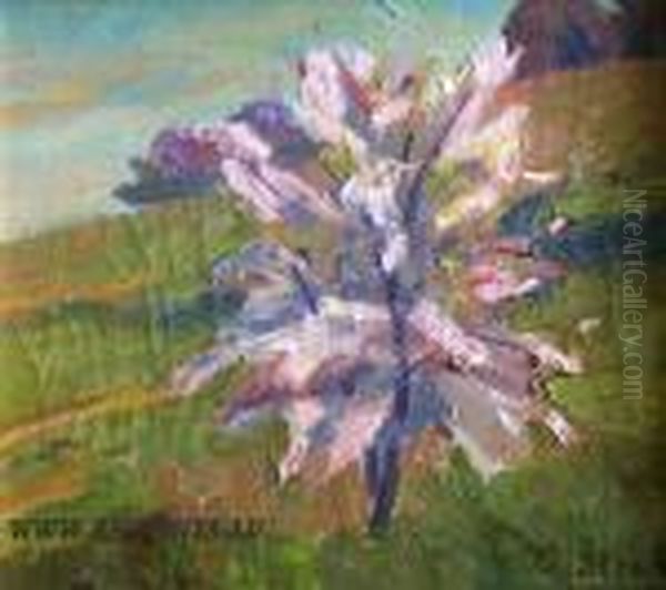Blooming Cherry - Tree - view 1