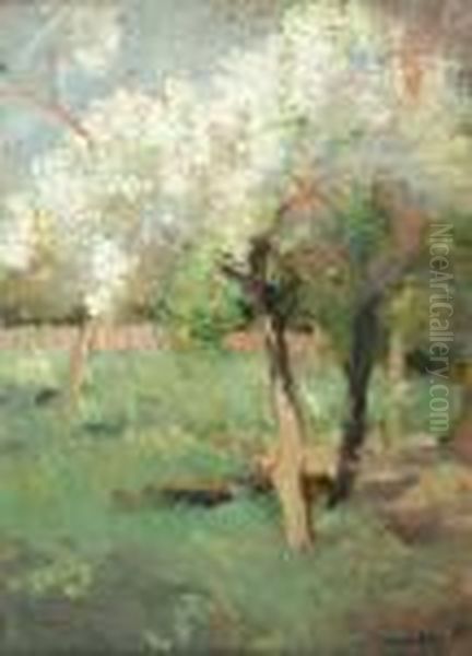 Spring Landscape - view 1