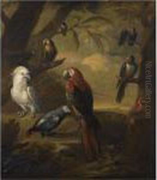 Exotic Birds In An Extensive Woodland Landscape - view 1