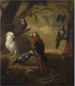 Exotic Birds In An Extensive Woodland Landscape by Tobias Stranover