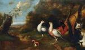 Fasane Und Meerschweinchen In Einer Landschaft by Tobias Stranover
