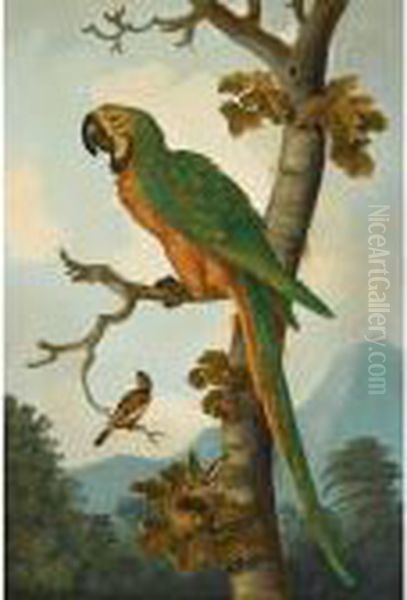 Still Life With A Parrot Perched On A Branch - view 1