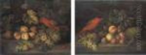 Natures Mortes Aux Perroquets, Fruits Et Oiseaux by Tobias Stranover