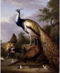 A Peacock,hen And Cock Pheasant In A Landscape by Tobias Stranover