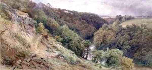 A Dell in Devonshire - view 1