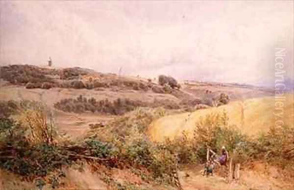 Summer Landscape near Haslemere Surrey - view 1