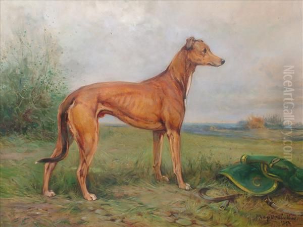 Studyof A Greyhound - view 1
