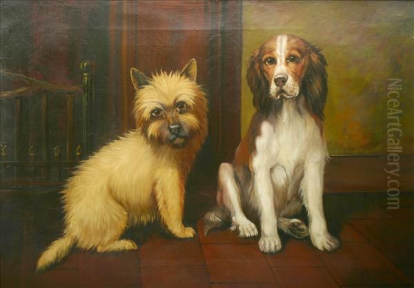 Aborder Terrier And Springer Spaniel In An Interior - view 1