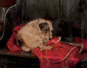 The Pet Of The Kemmel The Pet Of The Kemmel