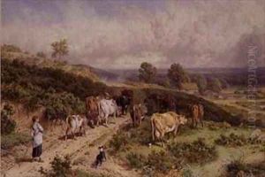 Milking Time The Young Drover