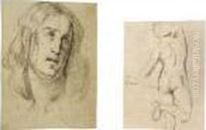 Head Of St. John The Evangelist by Bernardo Strozzi