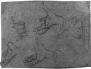Studies Of Four Hands And A Female Head (recto); Two Studies Ofhands And Feet (verso) by Bernardo Strozzi