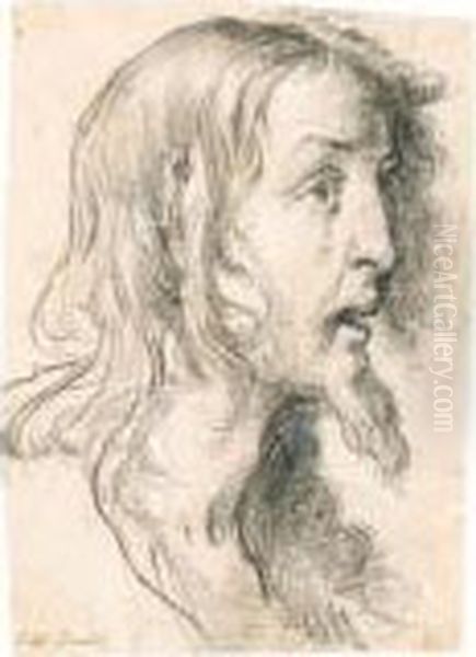 Strozzi, B. - view 1