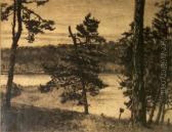 Lake - view 1