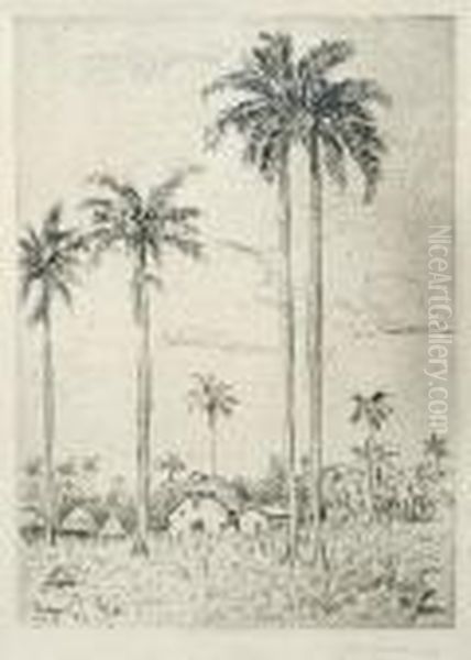 Pejzaz Z Palmami - view 1