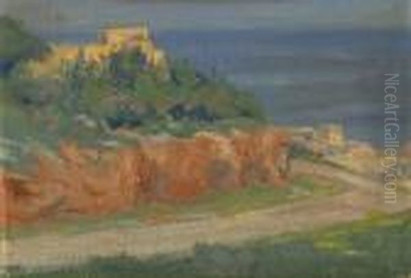 Israelische Landschaft Im Fruhling - view 1