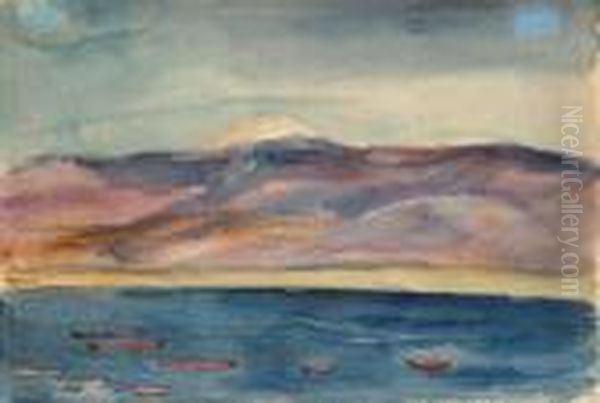 Uferlandschaft Am See Genezareth - view 1