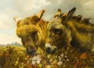 Two Donkeys