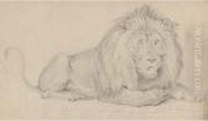 Studies Of Animals by William Strutt