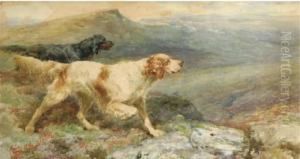 An English And A Gordon Setter On The Point