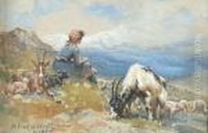 Children Of The Hills
