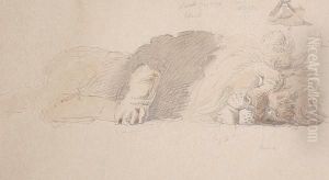 Study Of A Sleeping Lion