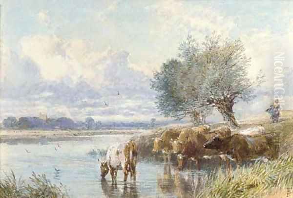 Cattle watering at the riverbank - view 1