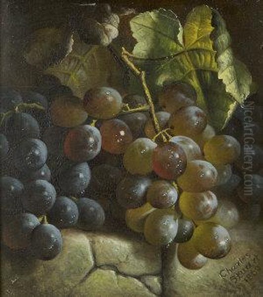 Still Life With Grapes - view 1