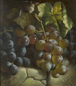 Still Life With Grapes