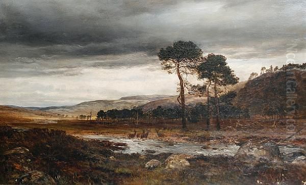 Deer In A Stormy River Landscape - view 1