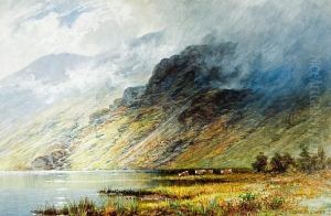 Cattle By The Shores Of A Loch