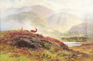 Deer By A Loch