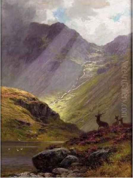 Sunlight In The Glen; The Vantage - view 1
