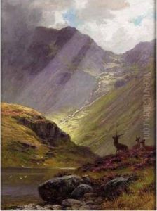 Sunlight In The Glen; The Vantage