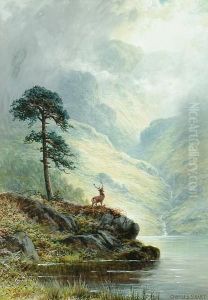 Alone In The Highlands
