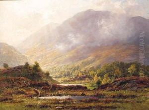 Deer Watering In A Highland Landscape