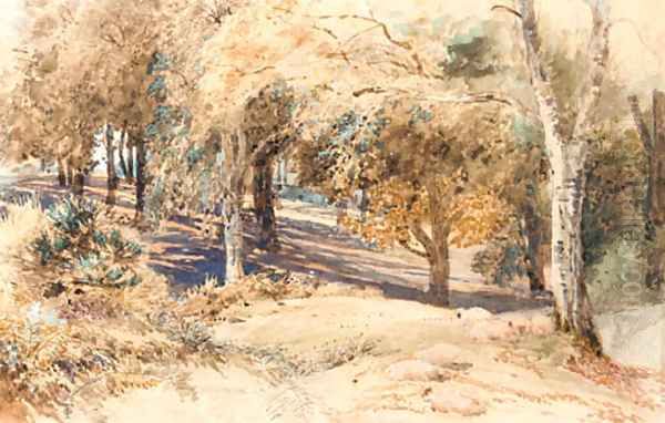 Sheep resting in a wooded landscape - view 1